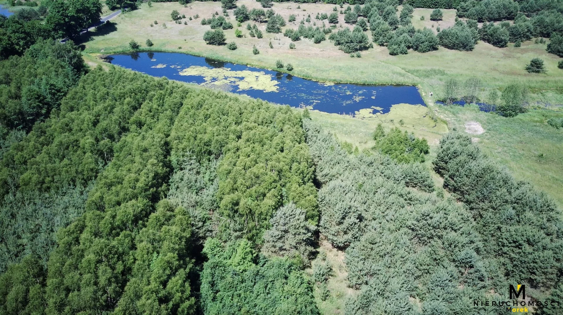 Działka 271 950,00 m², oferta nr , KMO-GS-1504, Siemyśl