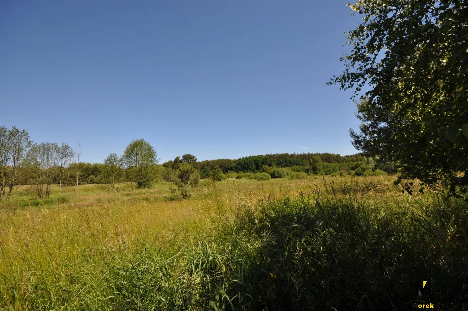 Działka 18 100,00 m², oferta nr , KMO-GS-1505, Siemyśl