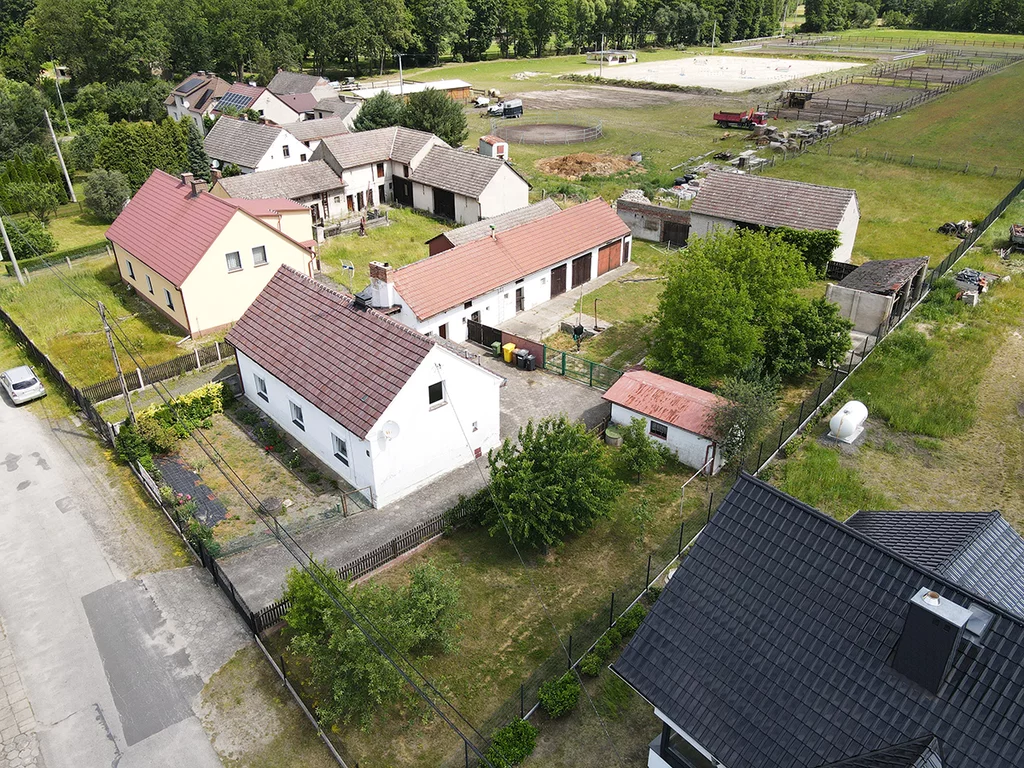 1746/17584/ODS - zdjęcie nr 1