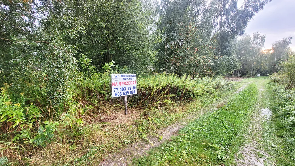 Działka 487,00 m², oferta nr , 1055/17584/OGS, Biskupice
