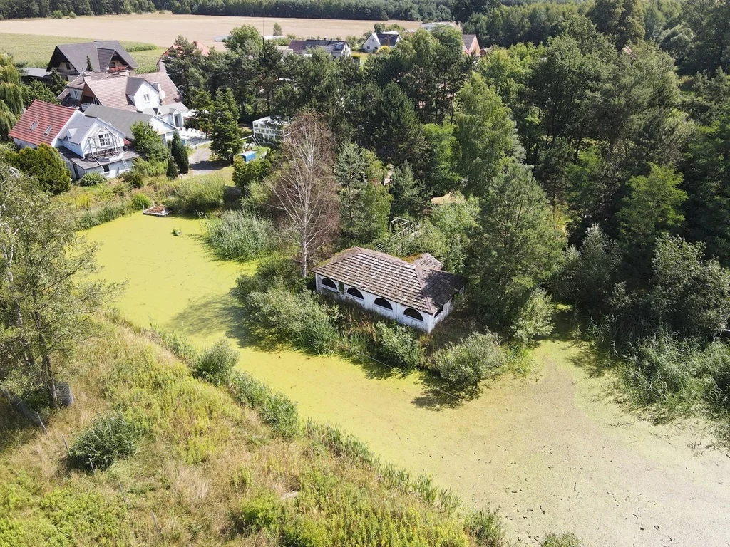 Lokal użytkowy 540,00 m², oferta nr , 152/17584/OOS, Brynica, Kwiatowa