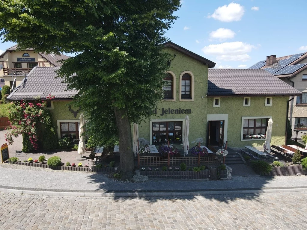 Lokal użytkowy 515,99 m², Góra Świętej Anny, Strzelecka, Sprzedaż