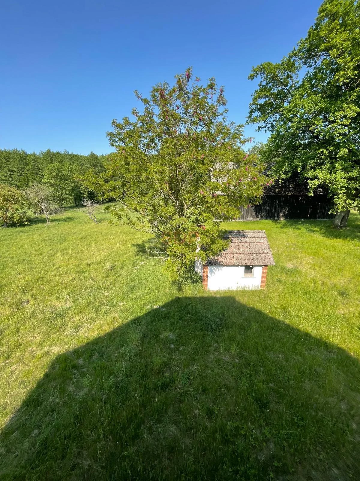 Dom 300,00 m², oferta nr , 41963, Jabłonka Stara