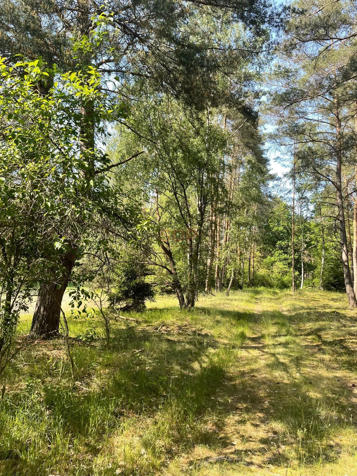 Dom 300,00 m², oferta nr , 41963, Jabłonka Stara