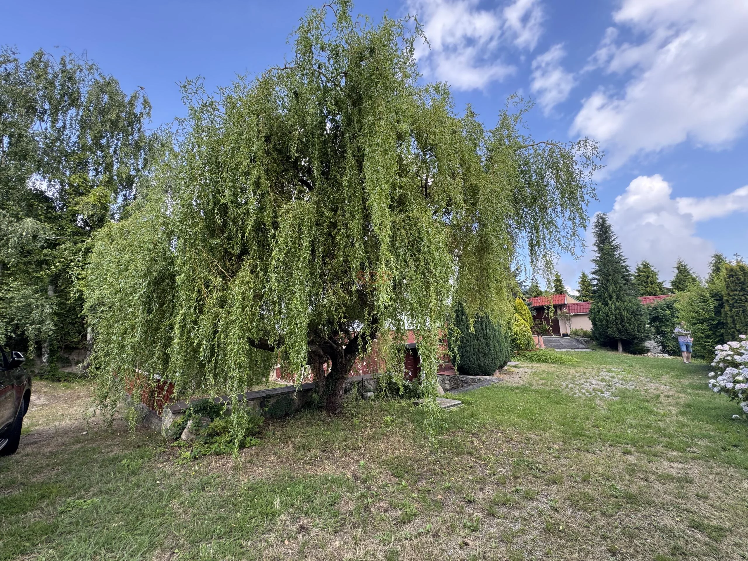 42209 - zdjęcie nr 2