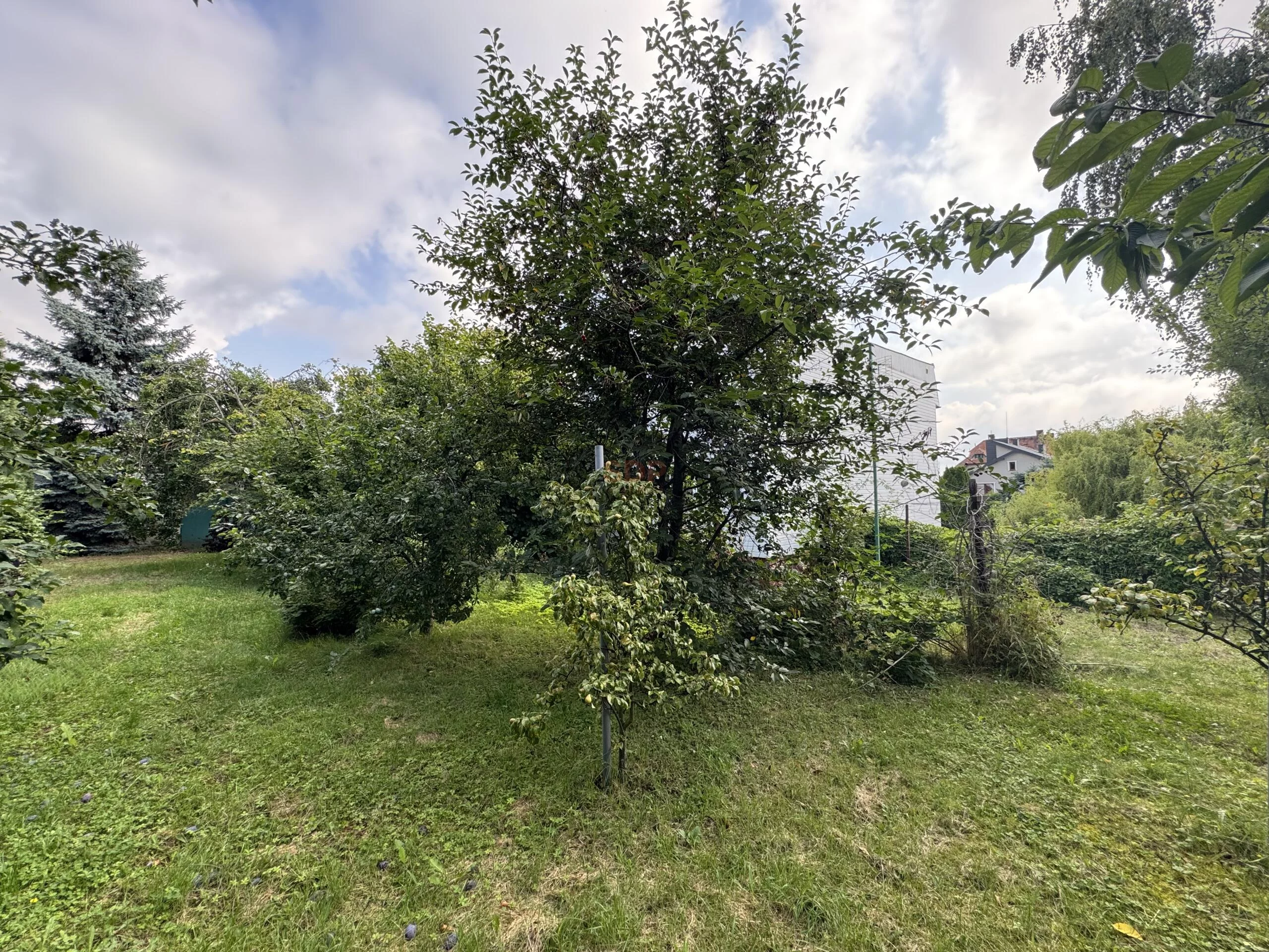 Dom i rezydencja 98,00 m², oferta nr , 42209, Strzegom, Kościuszki