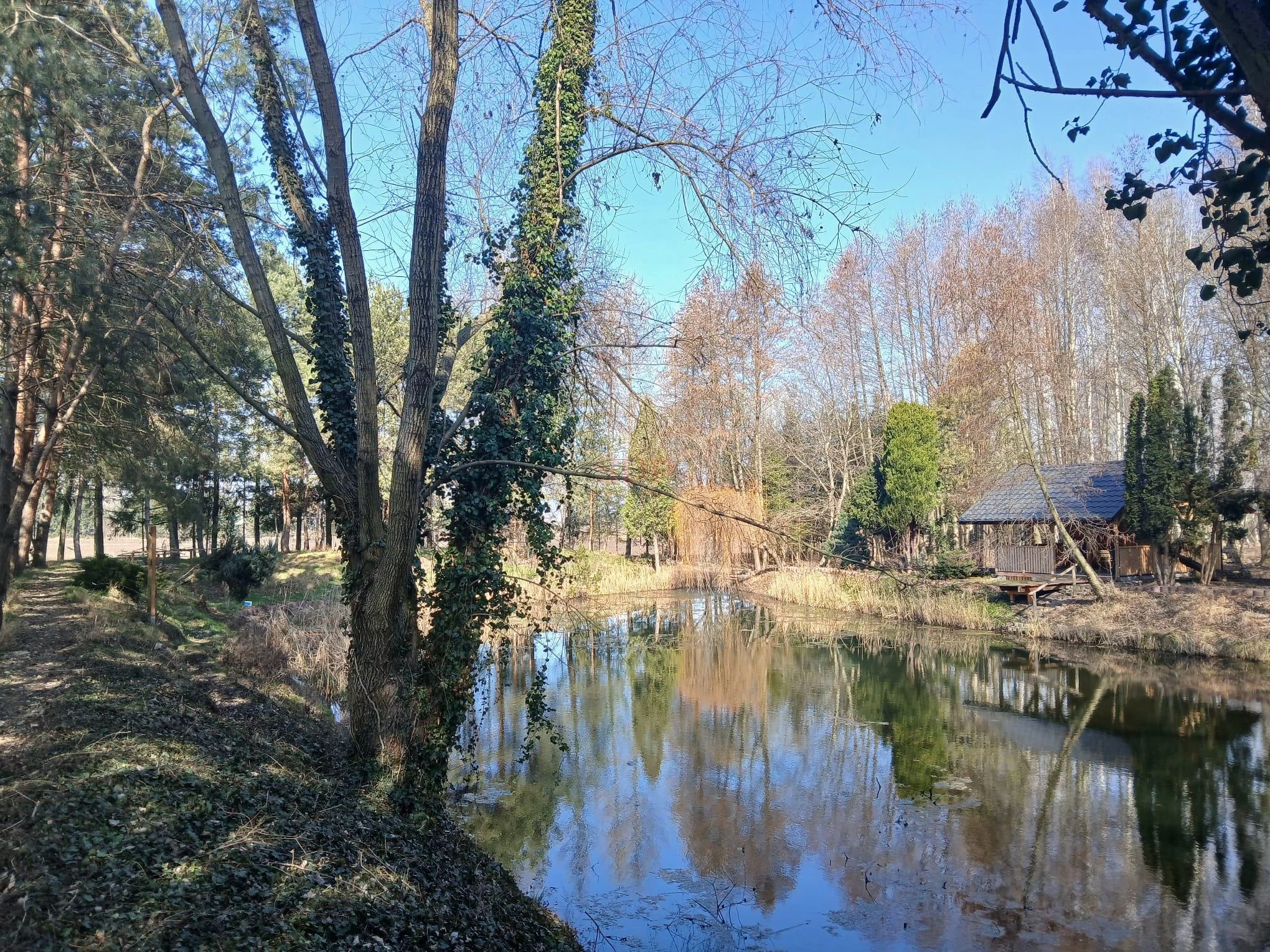 Dom 103,22 m², oferta nr , 39365, Pełczyce, Kwiatowa