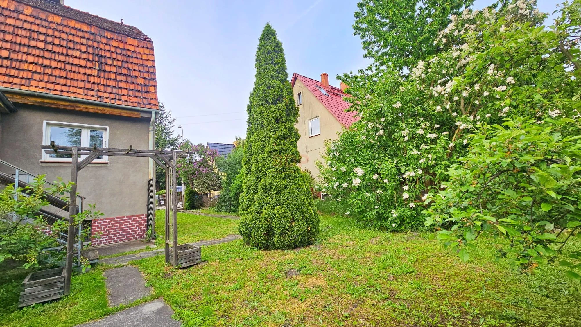 37610 - zdjęcie nr 4