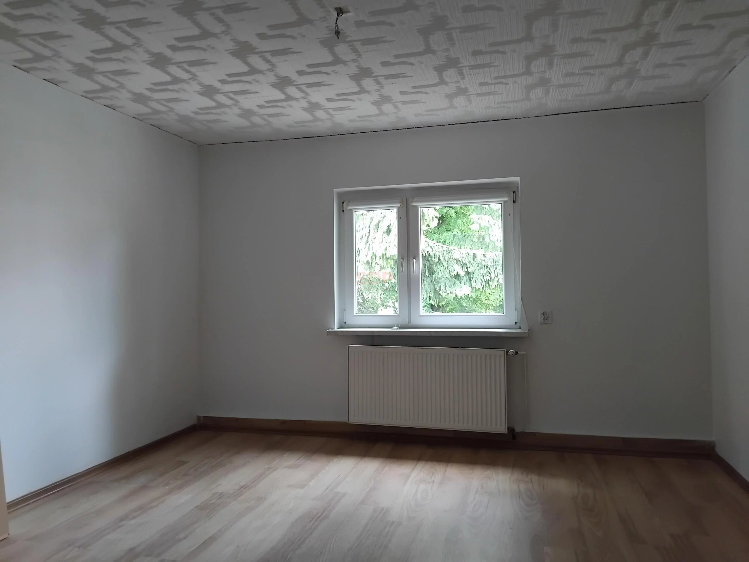 41538 - zdjęcie nr 0