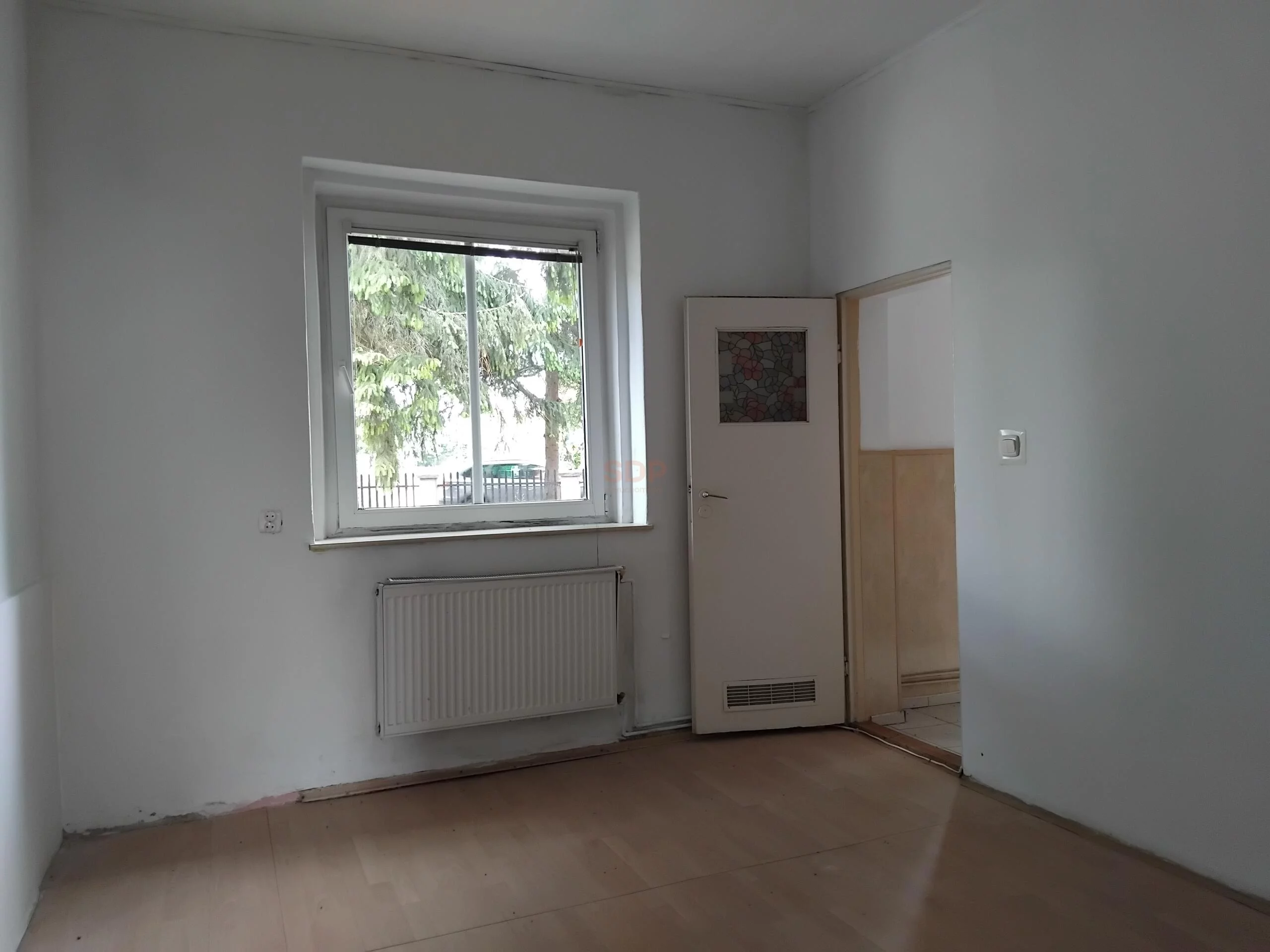 41538 - zdjęcie nr 1