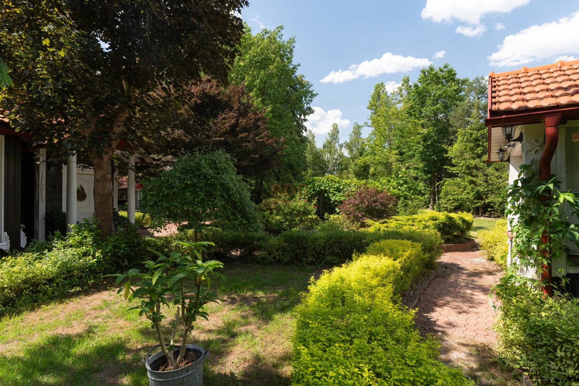 Dom i rezydencja 162,00 m², oferta nr , 41416, Dudowizna