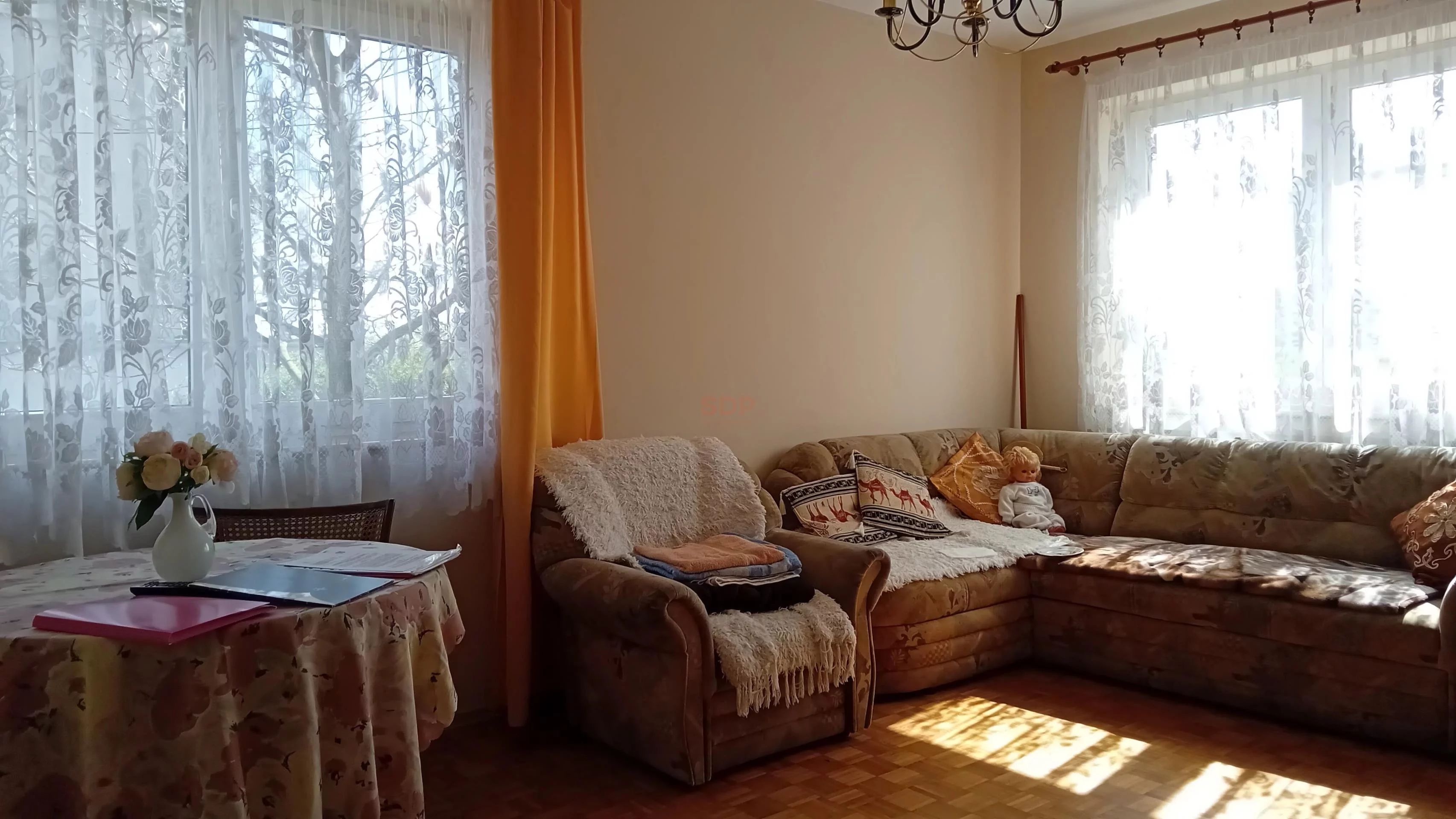 39584 - zdjęcie nr 2