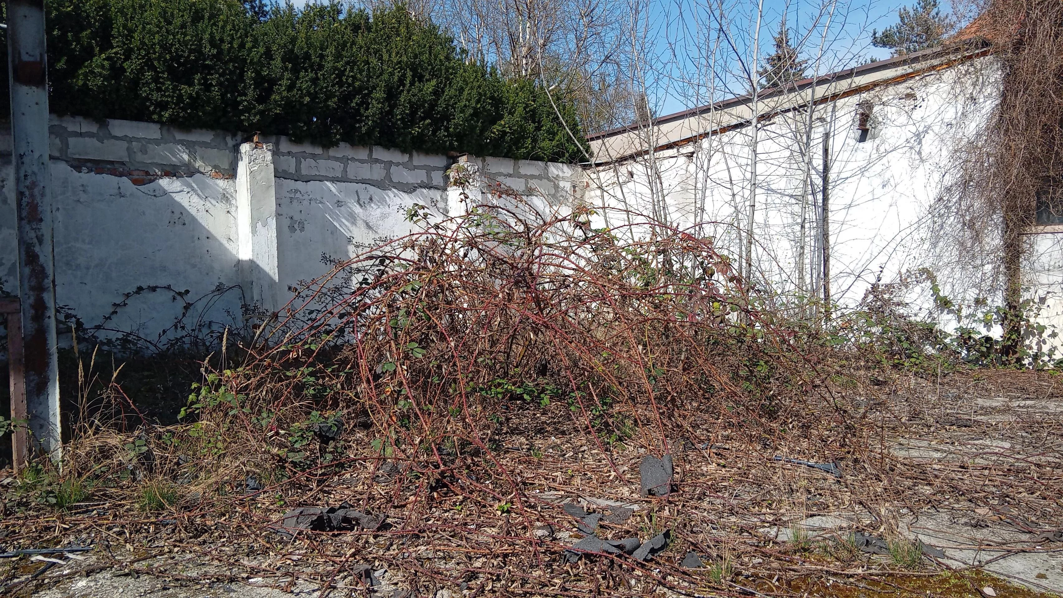 Dom 195,00 m², oferta nr , 39584, Wrocław, Psie Pole-Zawidawie, Psie Pole, Kasprowicza Jana