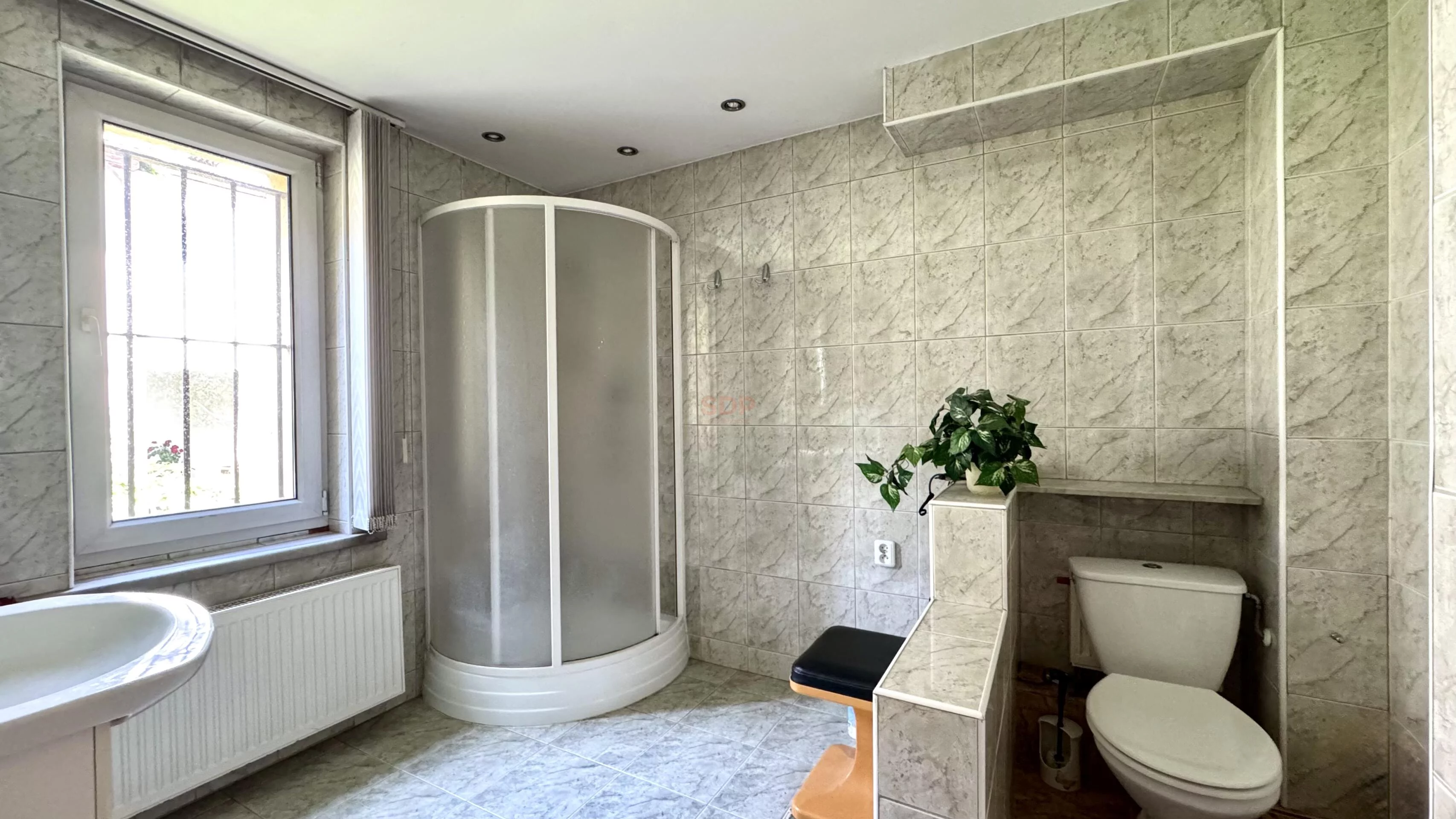 41825 - zdjęcie nr 3