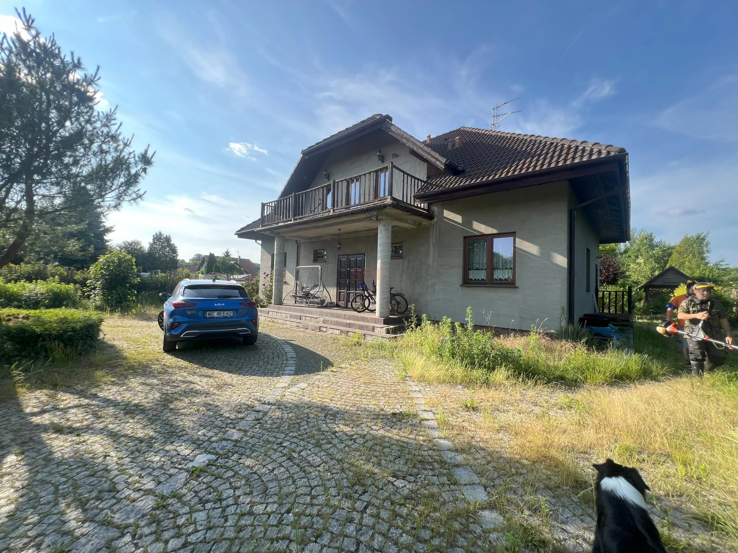 41860 - zdjęcie nr 1