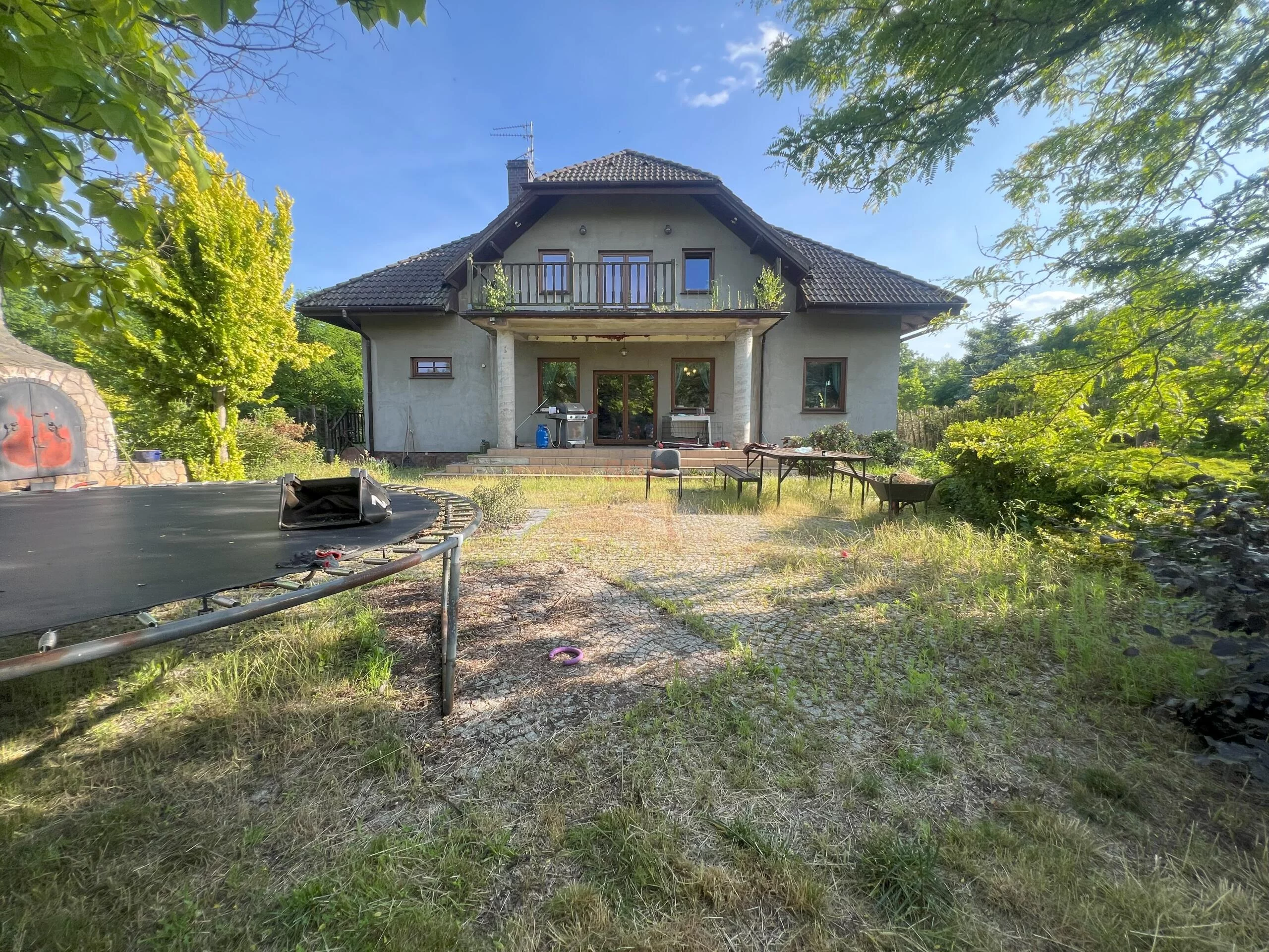 41860 - zdjęcie nr 2