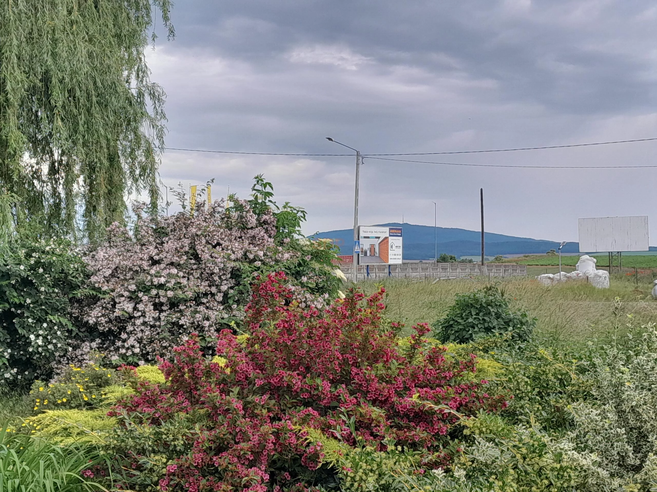 41749 - zdjęcie nr 0