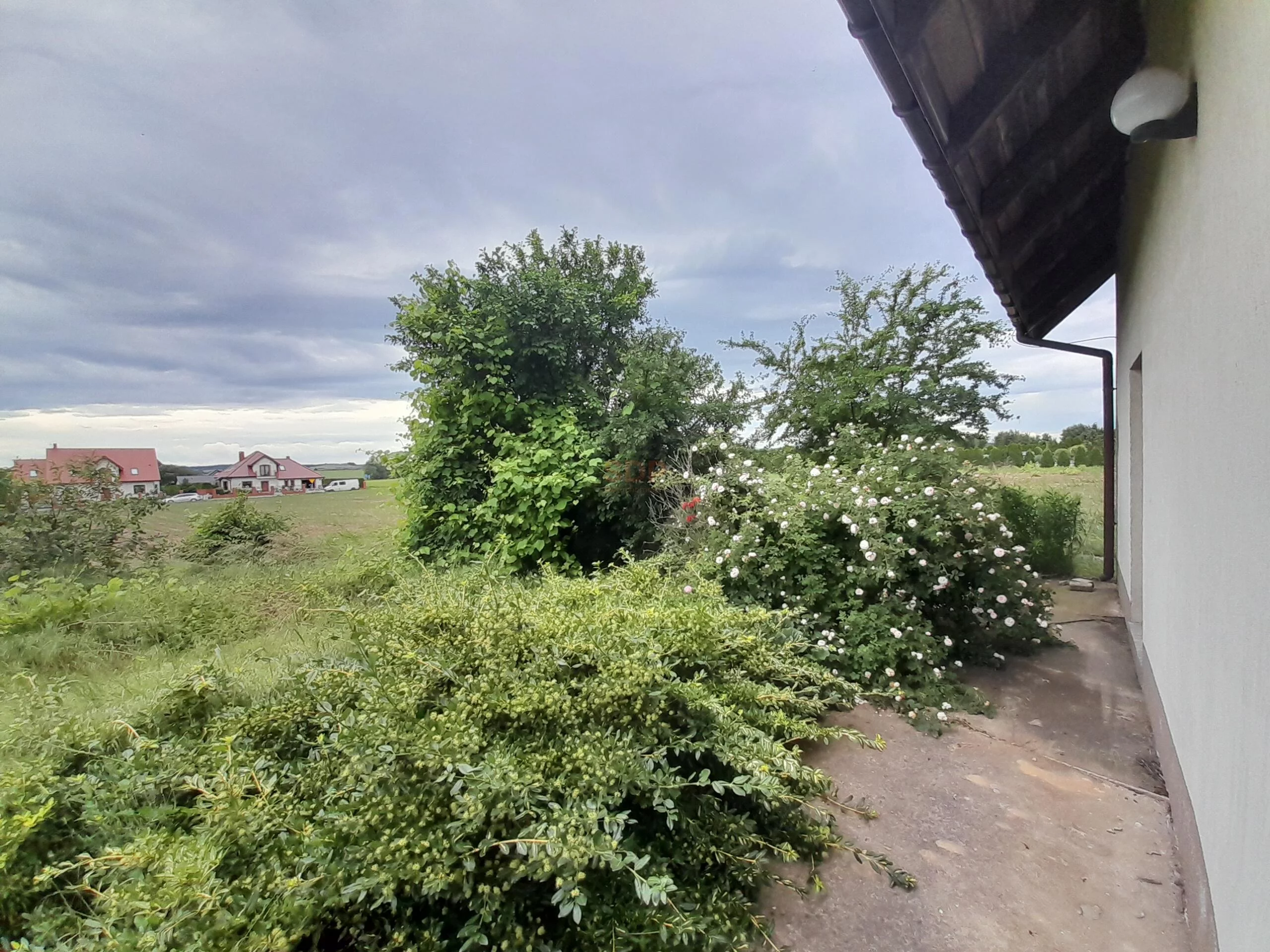 41749 - zdjęcie nr 4