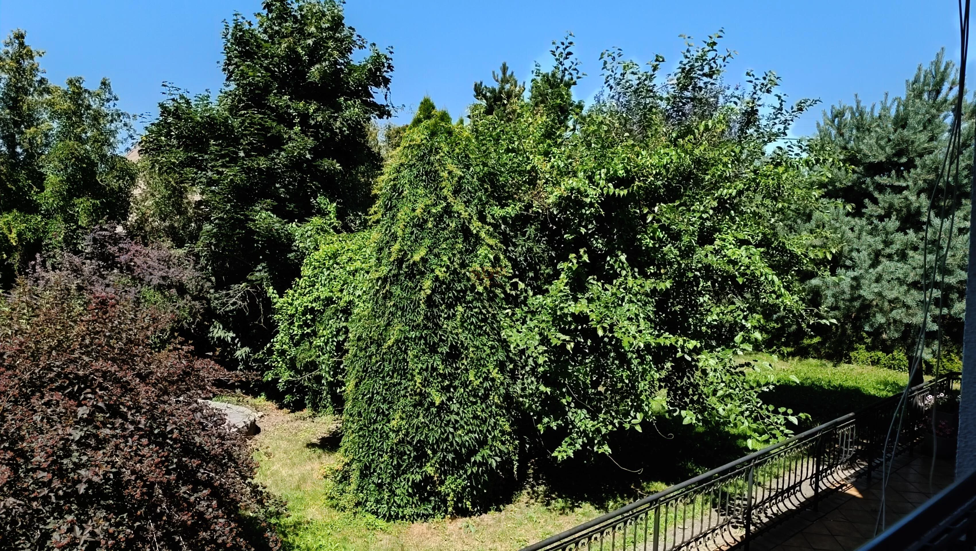 Dom 280,00 m², oferta nr , 41984, Oleśnica