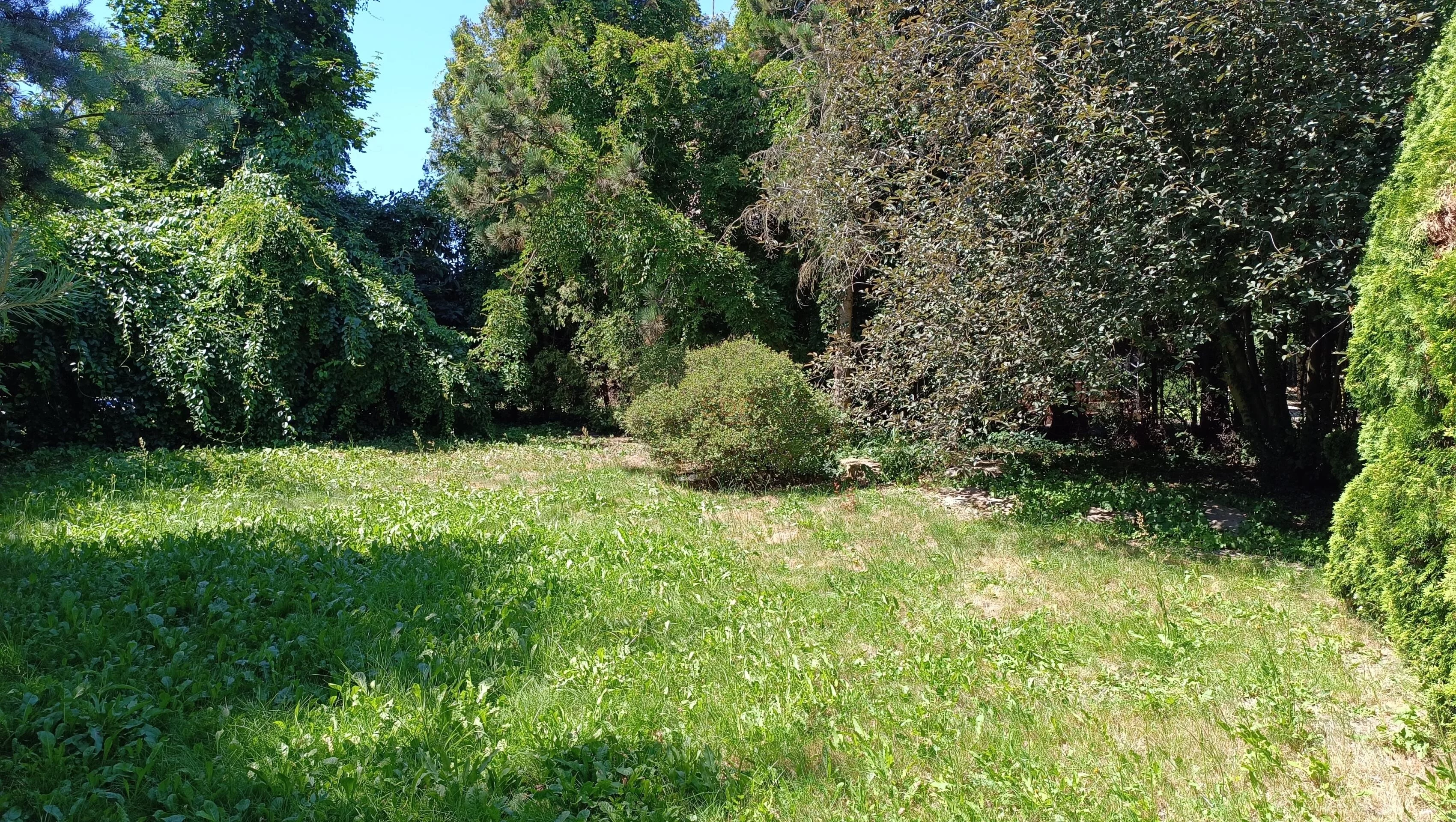 Dom 280,00 m², oferta nr , 41984, Oleśnica