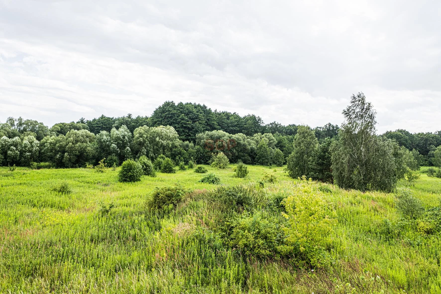 Dom 507,55 m², oferta nr , 42133, Wilkszyn, Boczna