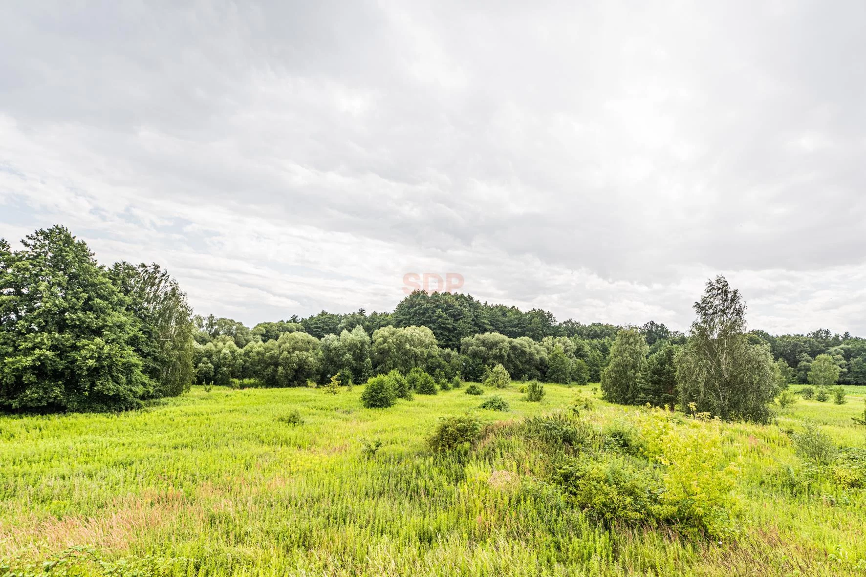 Dom 507,55 m², oferta nr , 42133, Wilkszyn, Boczna