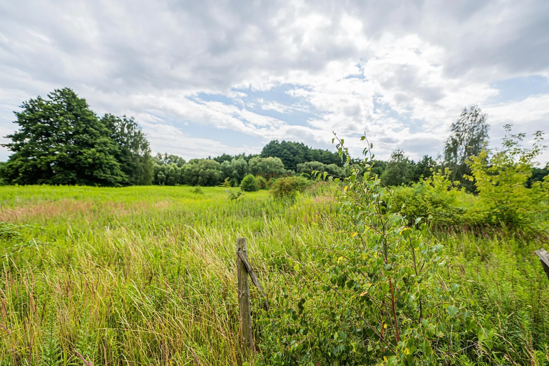 Dom 507,55 m², oferta nr , 42133, Wilkszyn, Boczna