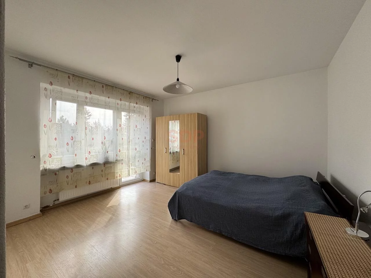 42569 - zdjęcie nr 3