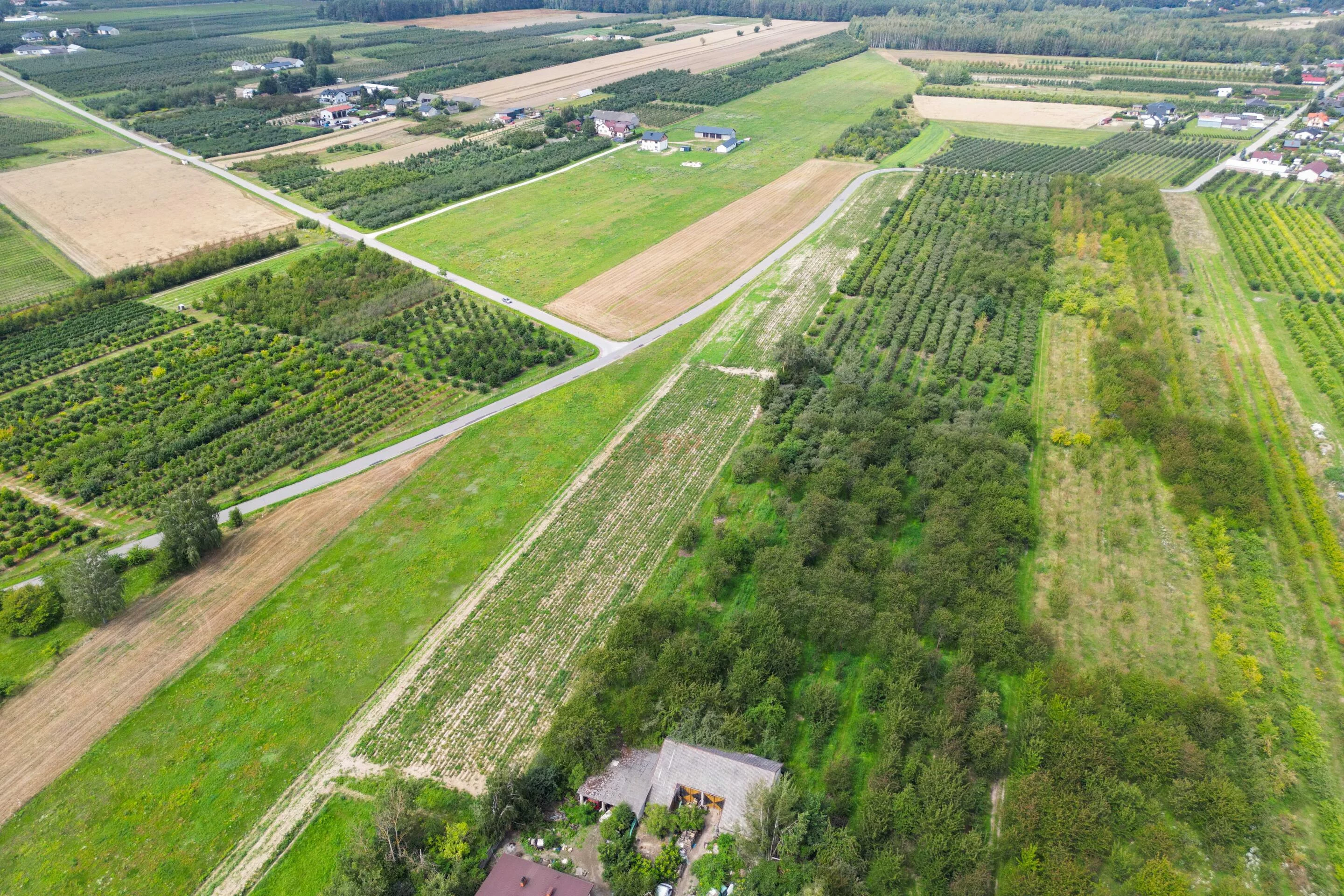42257 - zdjęcie nr 3