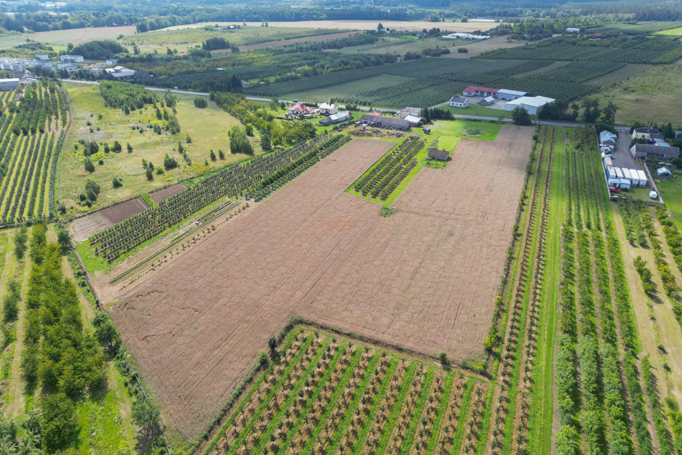 42258 - zdjęcie nr 4