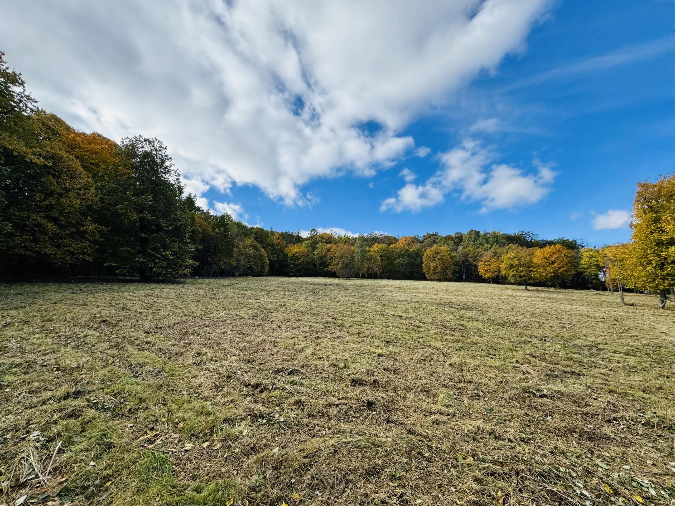 Działka 18 046,00 m², oferta nr , 42903, Sobótka, Armii Krajowej