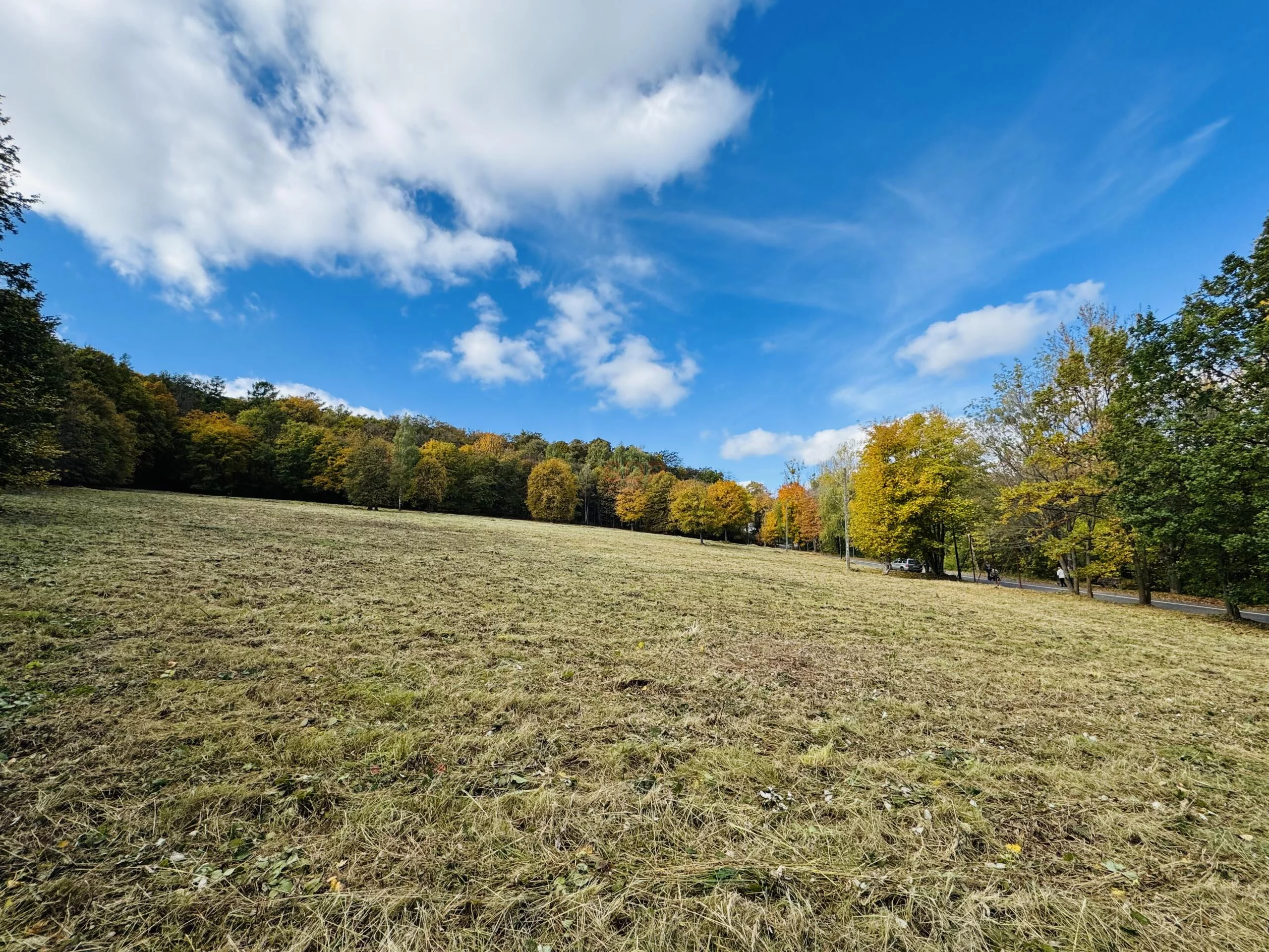 Działka 18 046,00 m², oferta nr , 42903, Sobótka, Armii Krajowej