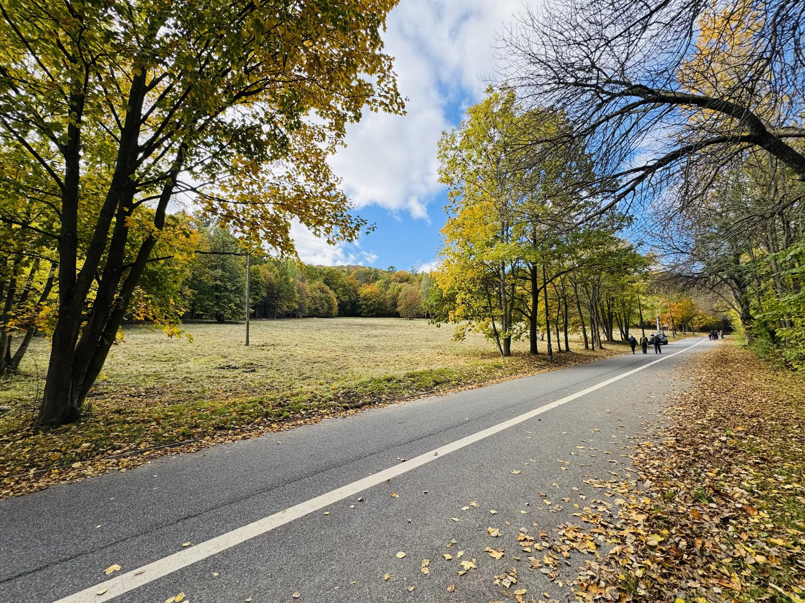 Działka 18 046,00 m², oferta nr , 42903, Sobótka, Armii Krajowej