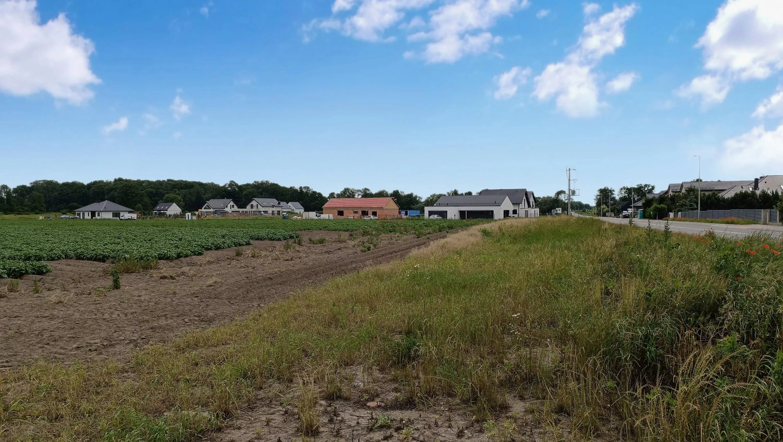 Działka 29 828,00 m², oferta nr , 41816, Chrzanów, Błękitna