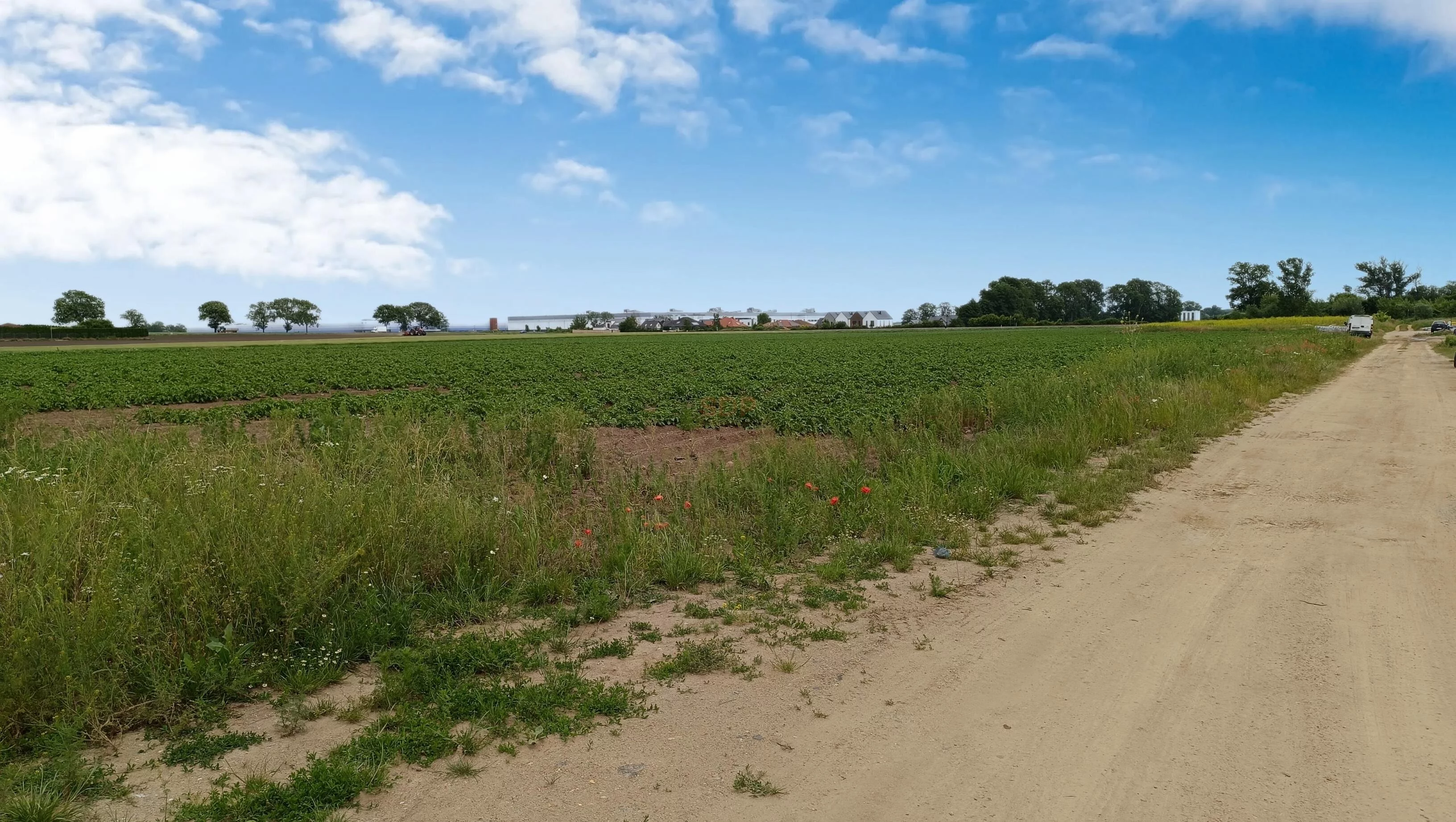 Działka 29 828,00 m², oferta nr , 41816, Chrzanów, Błękitna