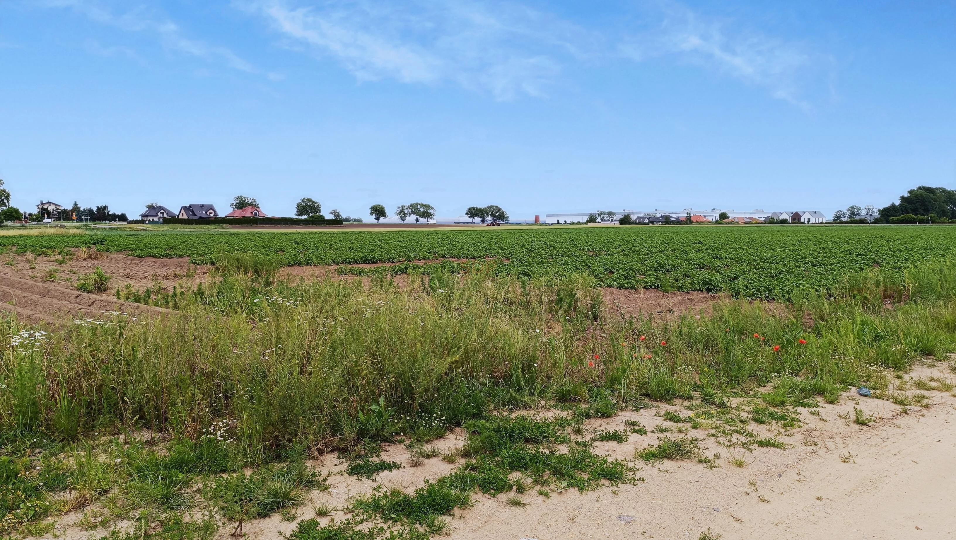 Działka 29 828,00 m², oferta nr , 41816, Chrzanów, Błękitna
