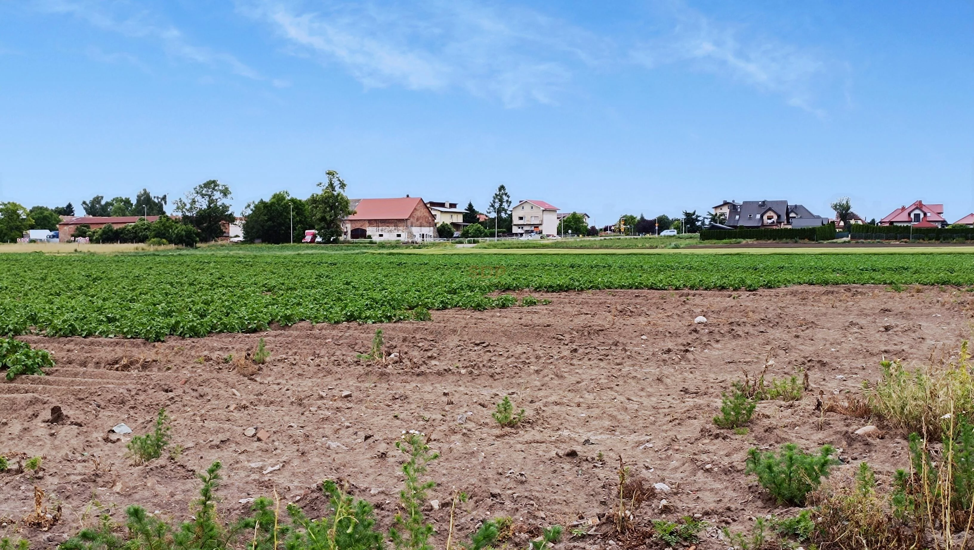 Działka 29 828,00 m², oferta nr , 41816, Chrzanów, Błękitna