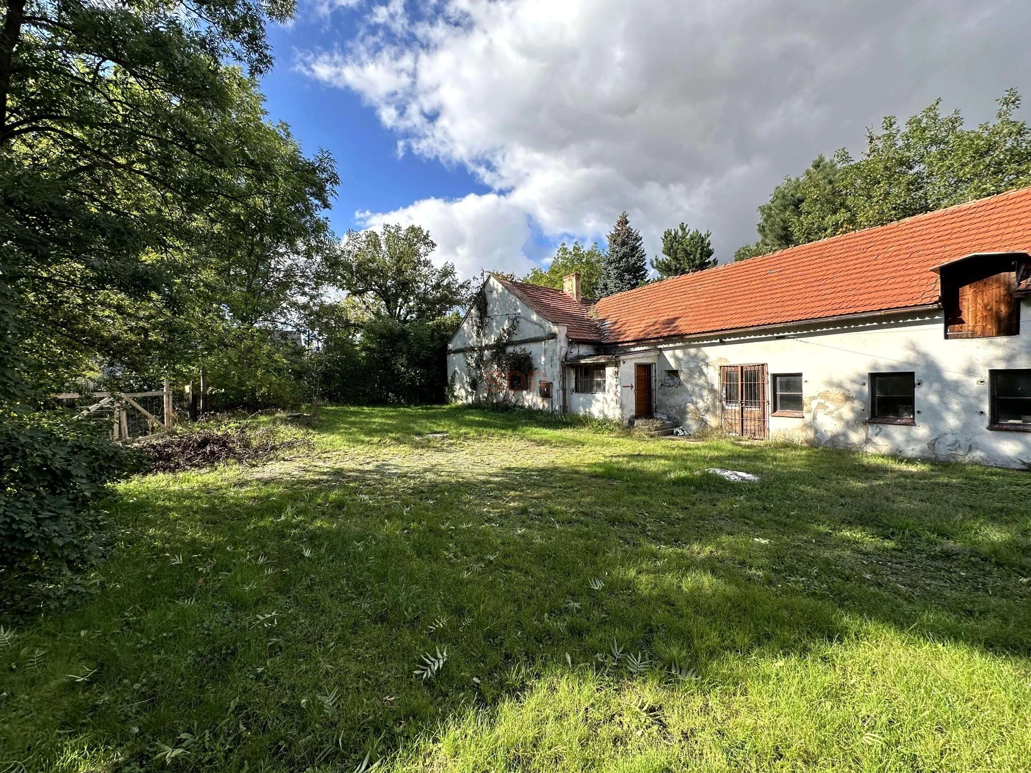 41706 - zdjęcie nr 3