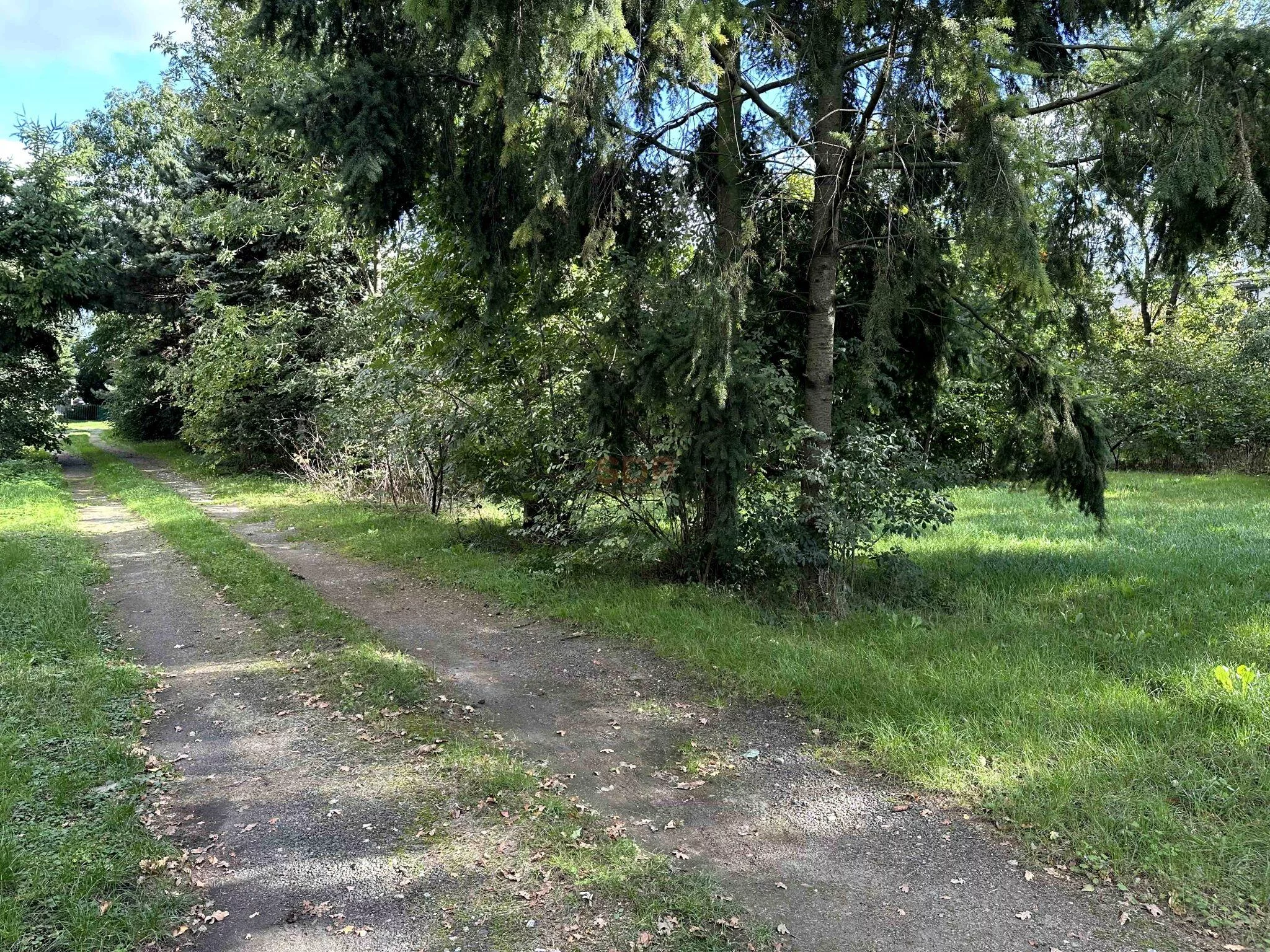 Działka 3 000,00 m², oferta nr , 41706, Domasław