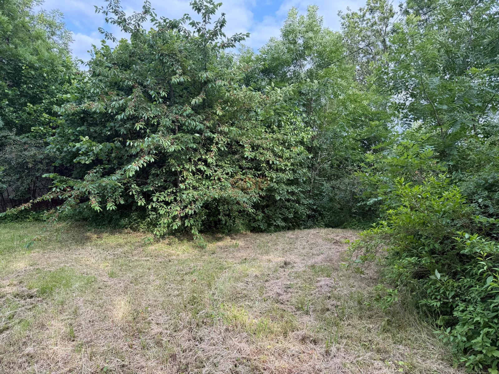 Działka 3 000,00 m², oferta nr , 41706, Domasław
