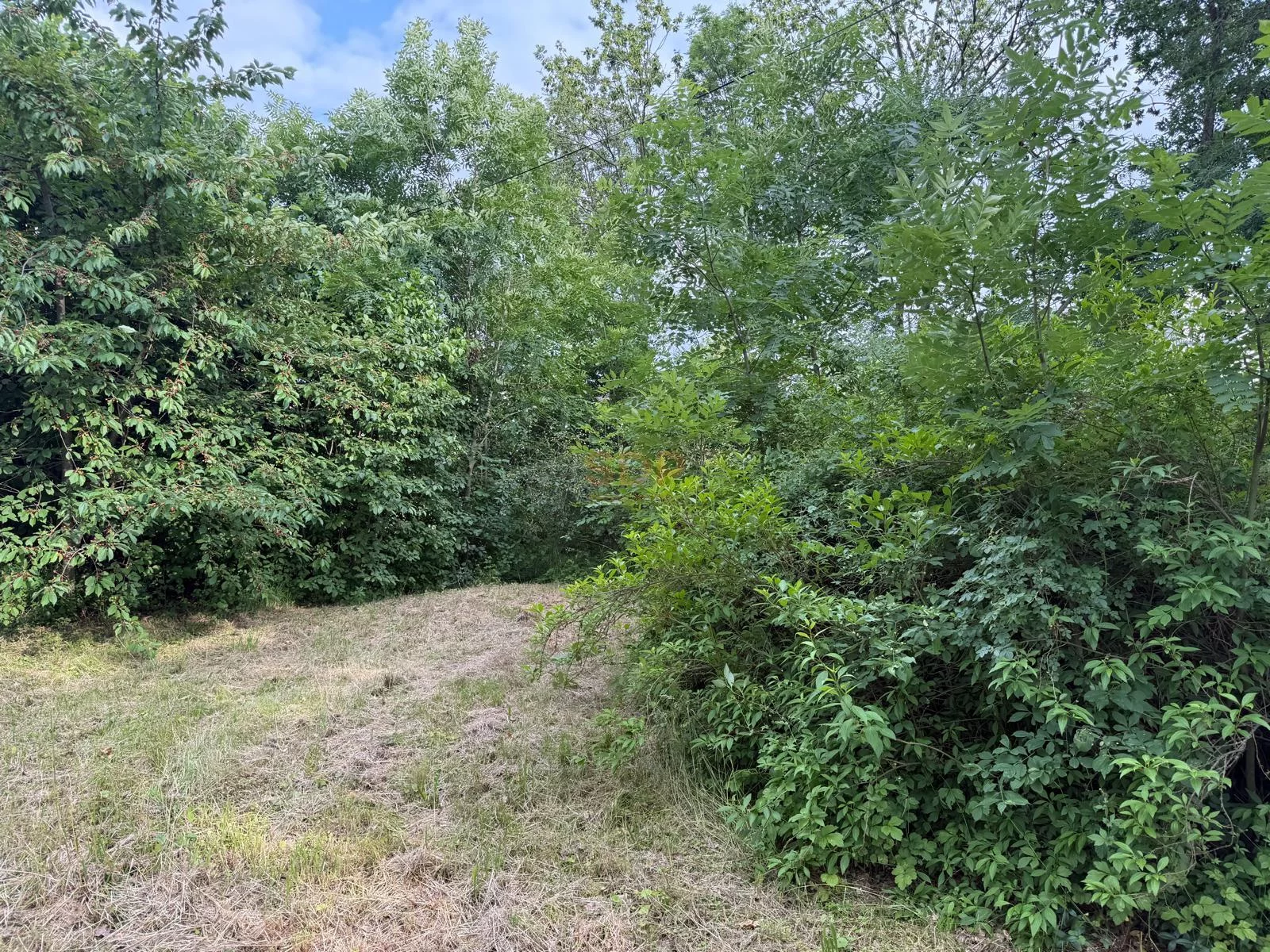 Działka 3 000,00 m², oferta nr , 41706, Domasław