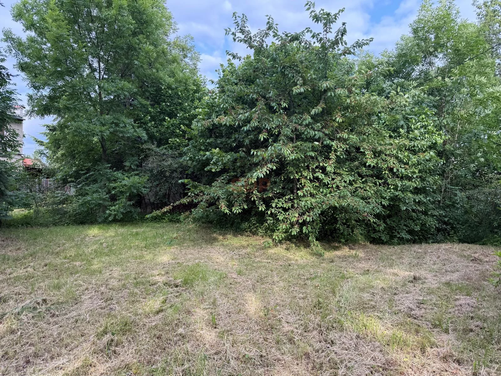 Działka 3 000,00 m², oferta nr , 41706, Domasław