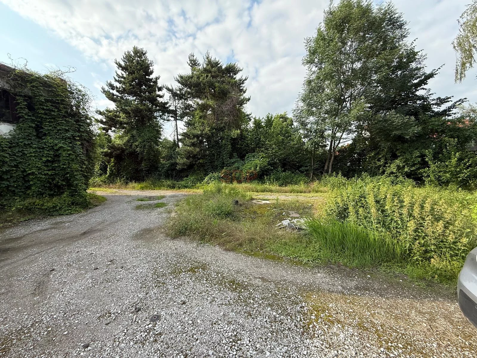 Działka 3 000,00 m², oferta nr , 41706, Domasław