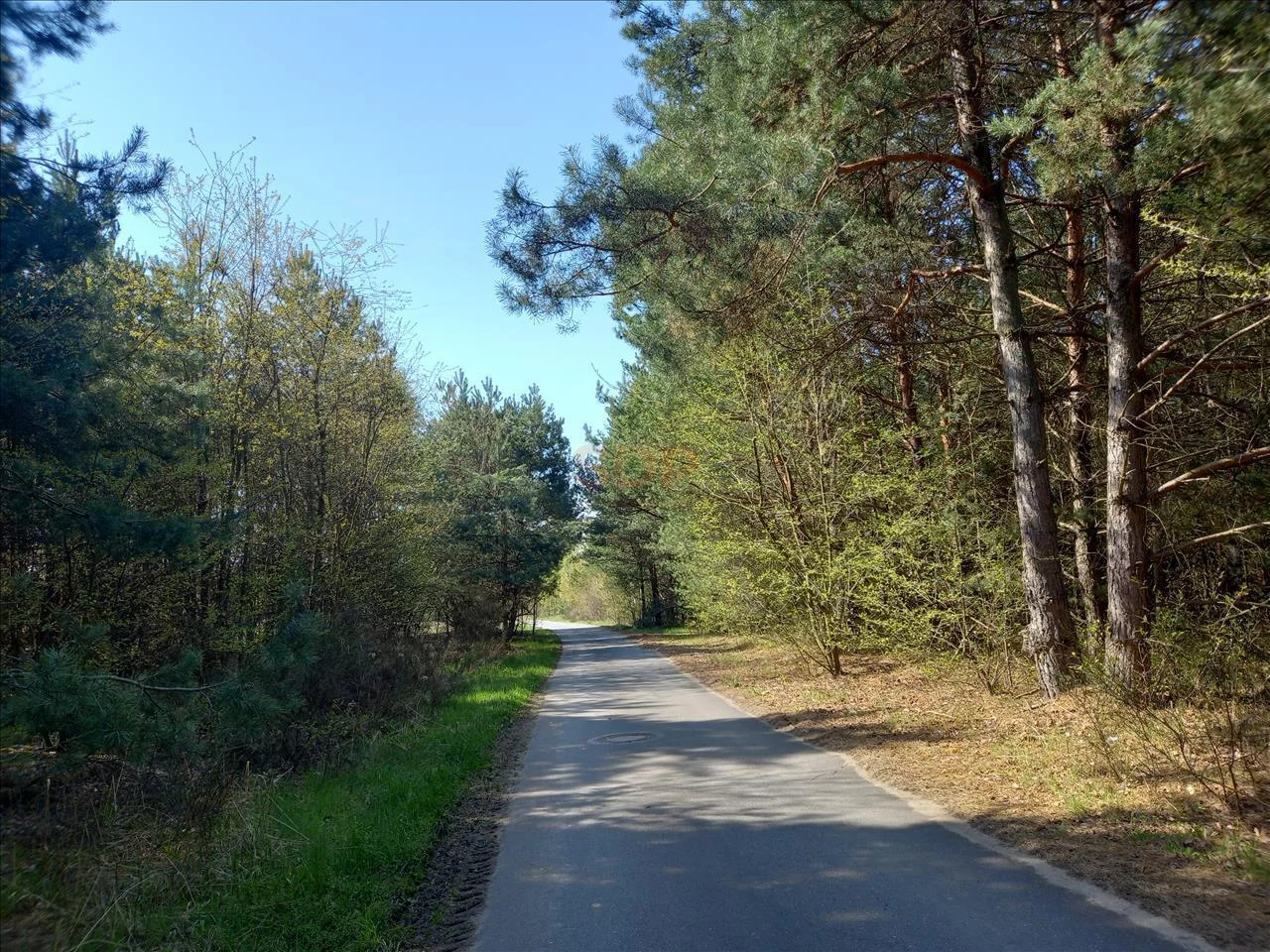 Działka 29 724,00 m², oferta nr , 38209, Drogoszowice