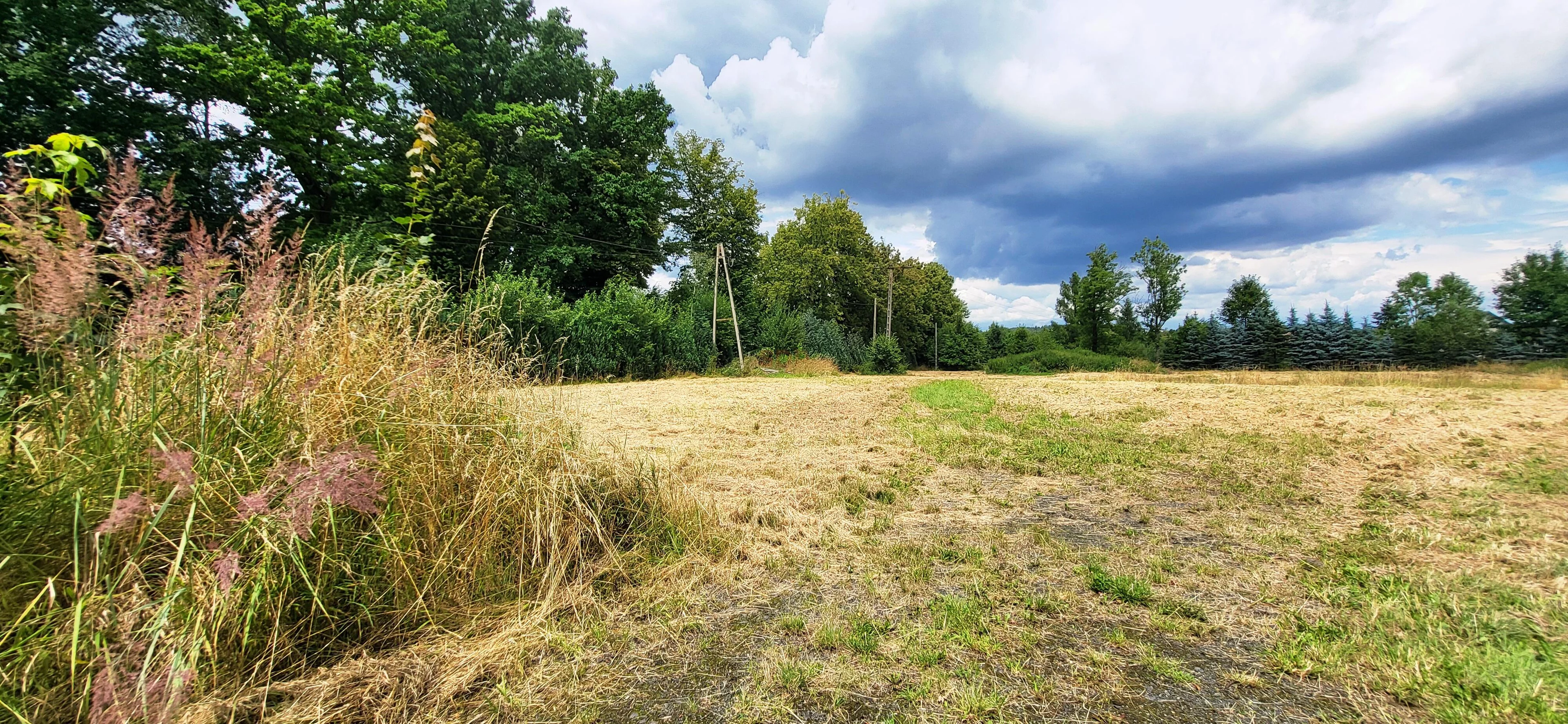 Działka 4 254,00 m², oferta nr , 41884, Grabiszyce Górne