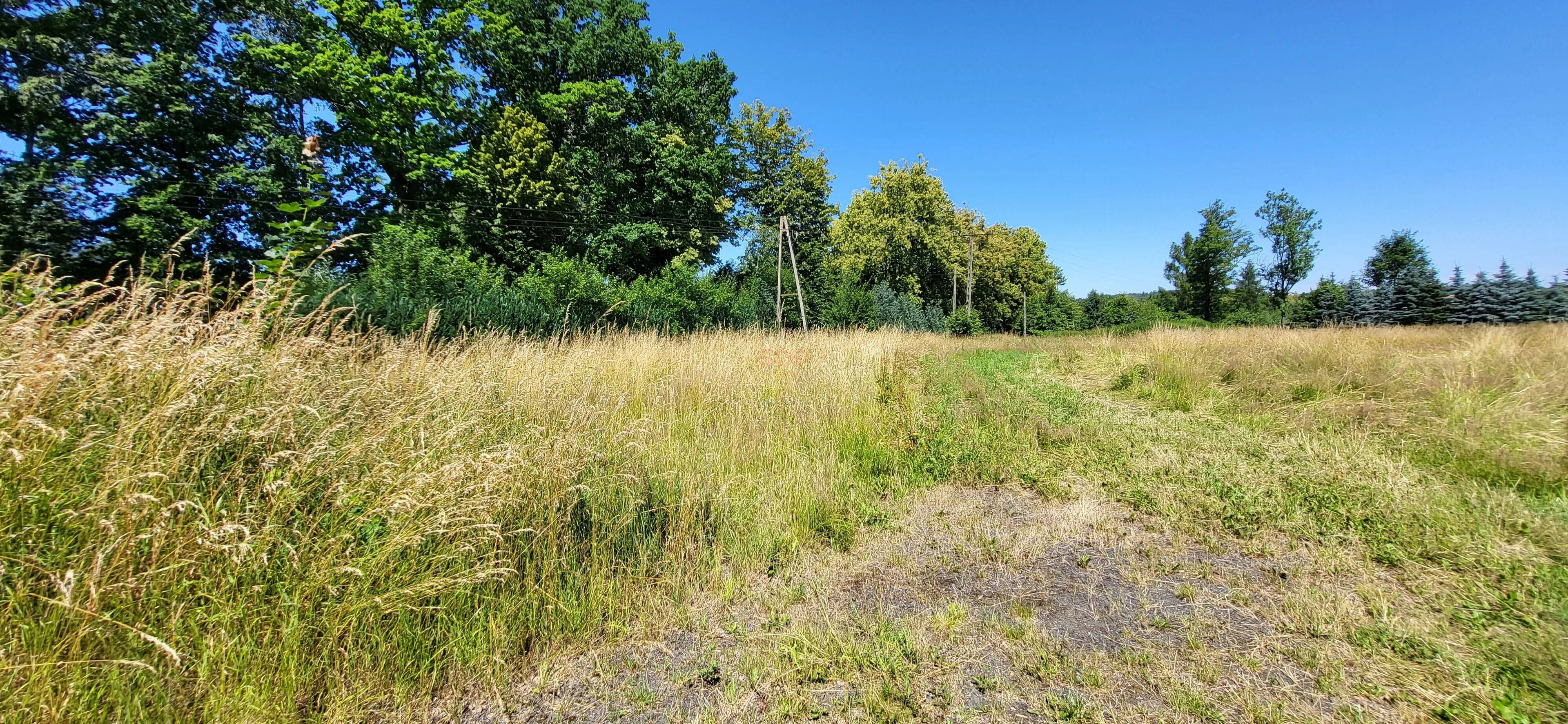 Działka 4 254,00 m², oferta nr , 41884, Grabiszyce Górne