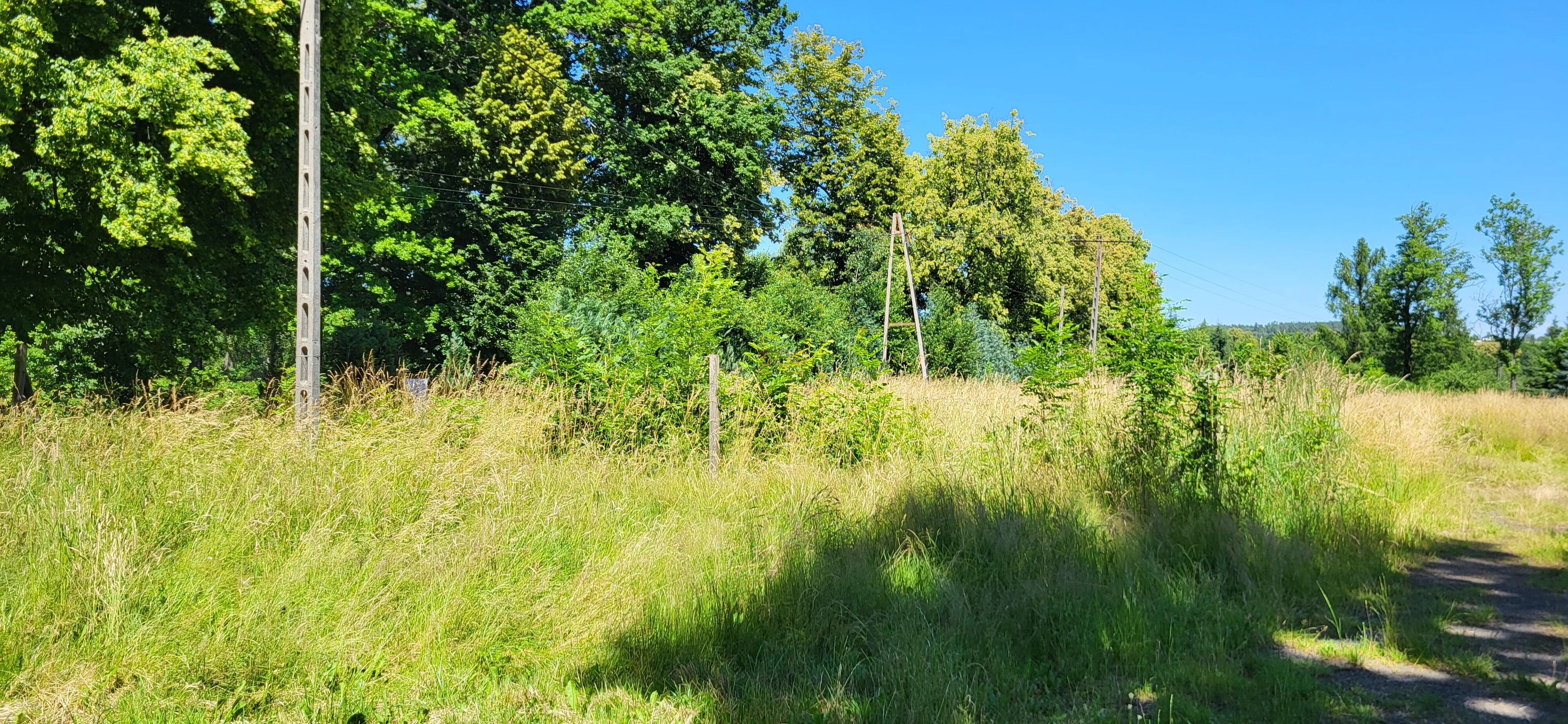 Działka 4 254,00 m², oferta nr , 41884, Grabiszyce Górne