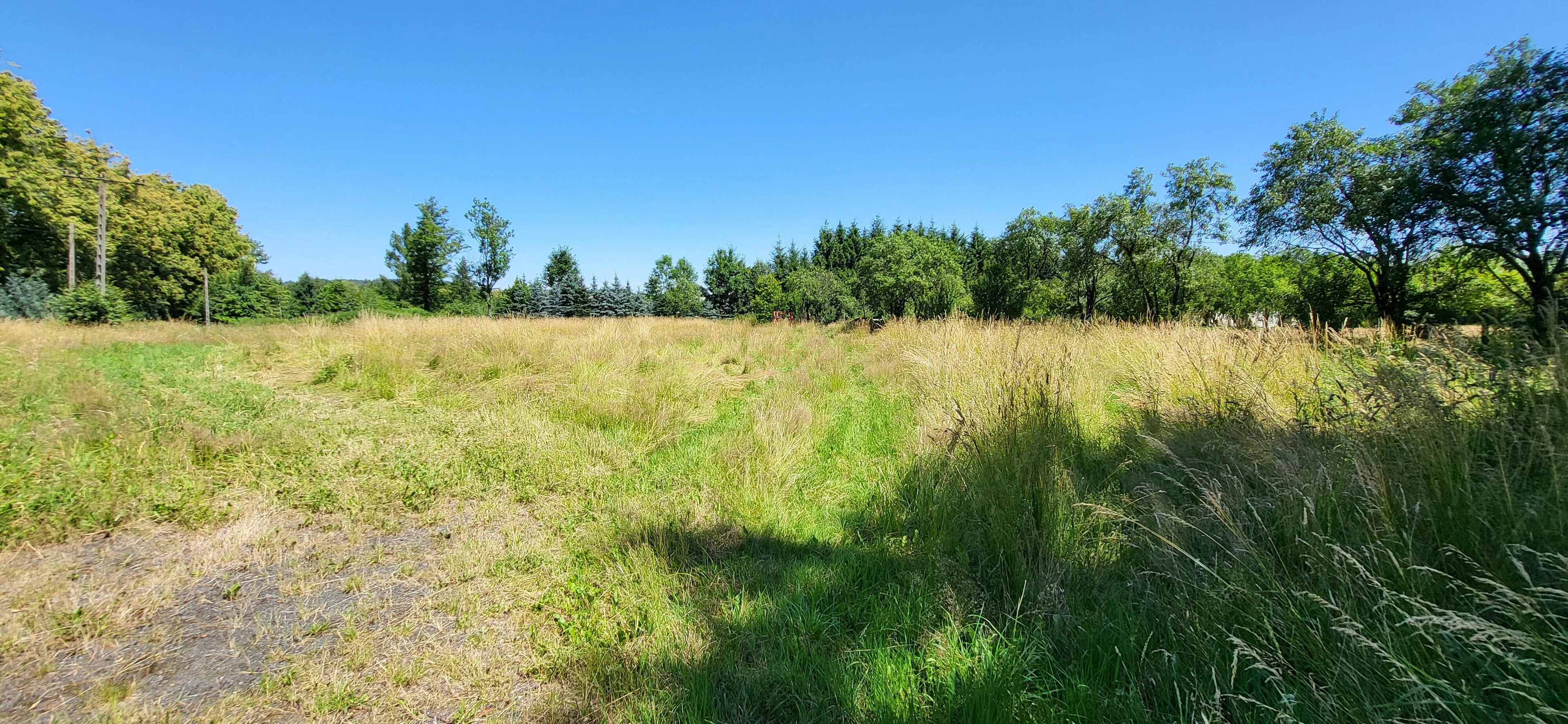 Działka 4 254,00 m², oferta nr , 41884, Grabiszyce Górne