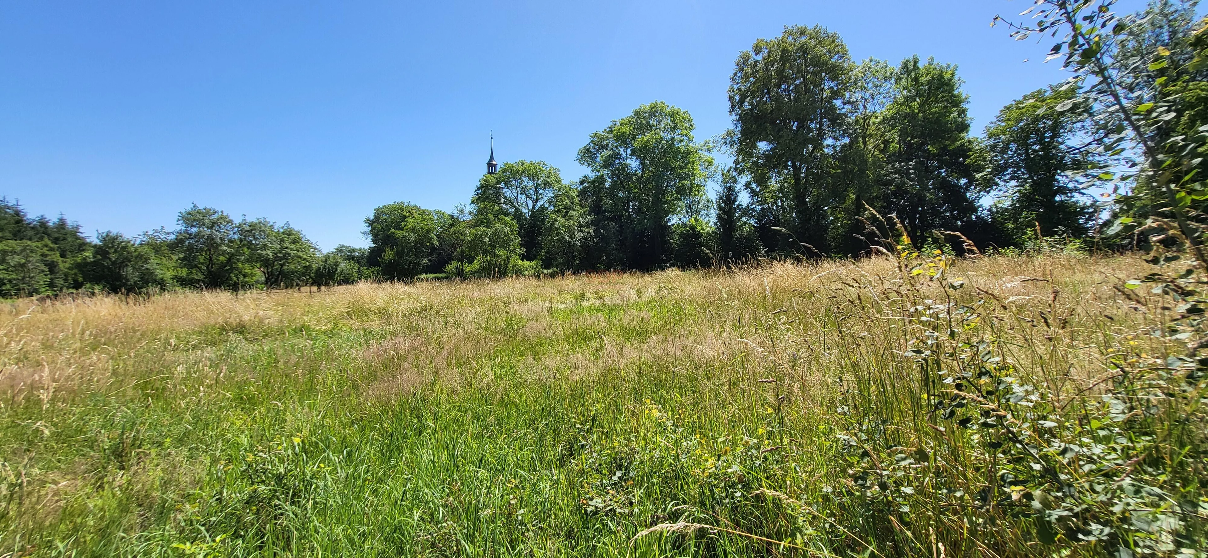 Działka 4 254,00 m², oferta nr , 41884, Grabiszyce Górne