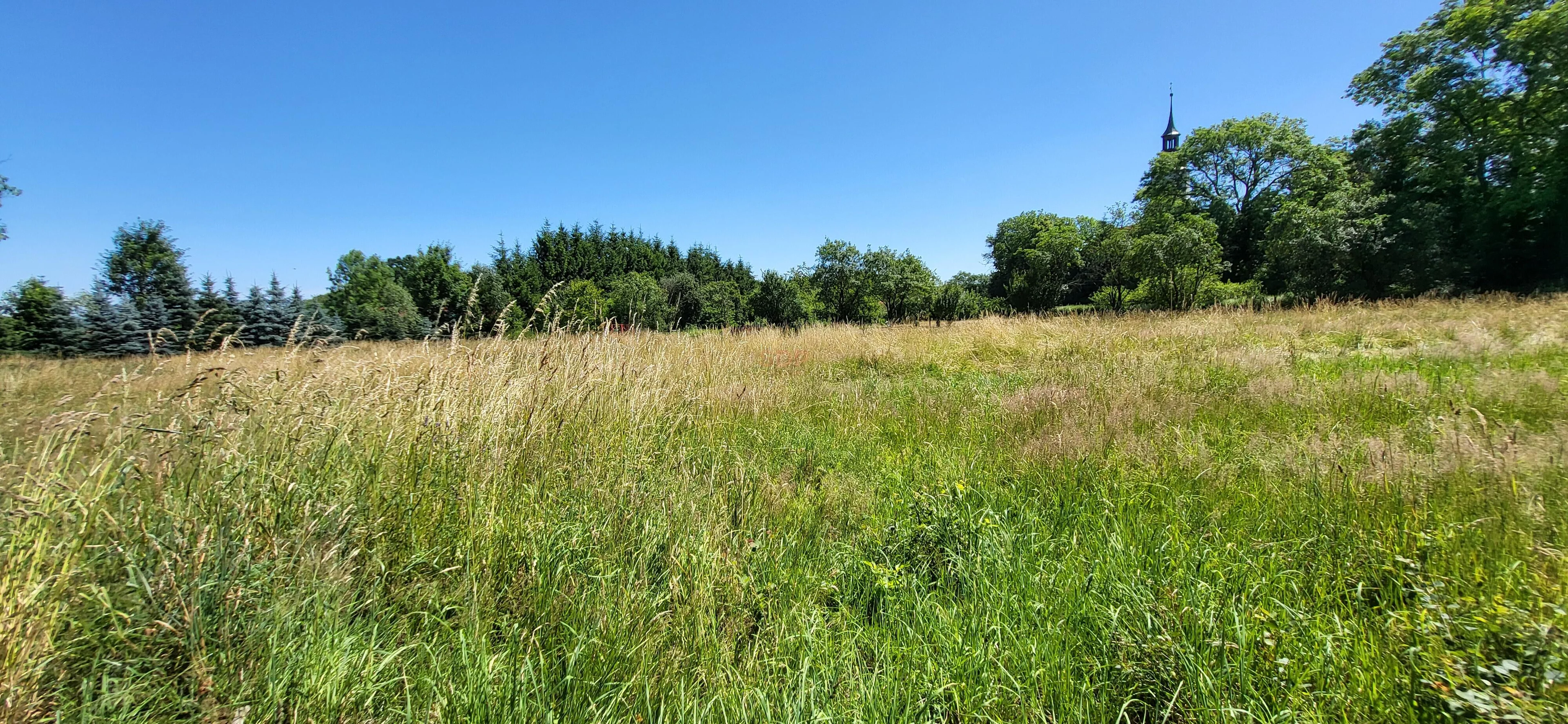 Działka 4 254,00 m², oferta nr , 41884, Grabiszyce Górne